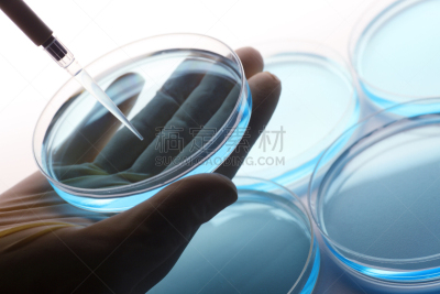 皮氏培养皿,科学家,吸液管,液体,草药,生物科技,科学实验,做,研究