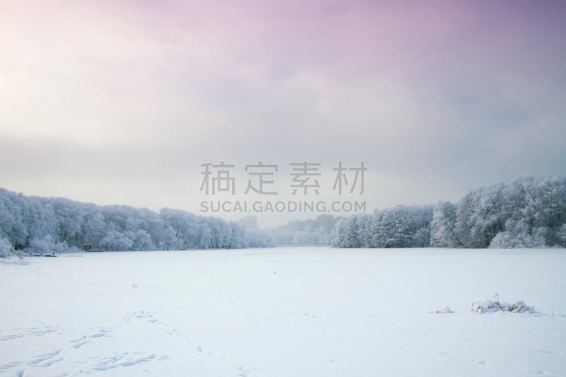 冬天,森林,雨夹雪,水平画幅,无人,俄罗斯,枝,街道,季节