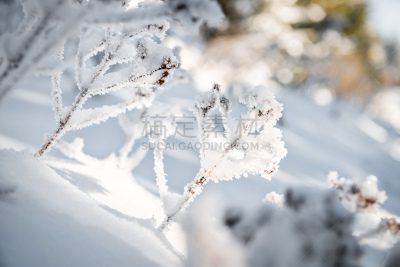 冬天,徒步旅行,水平画幅,山,德国高速列车,雪,无人,户外,冰晶,白色
