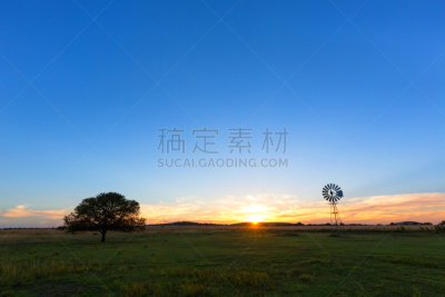 太阳,一只动物,风车,奥兰治自由邦,自然,天空,风,水平画幅,绿色,地形