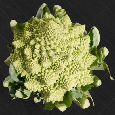 灰葡萄孢菌,罗马花椰菜,蔬菜,螺线,背景分离,食品,维生素,仅一朵花,甘蓝类,花椰菜