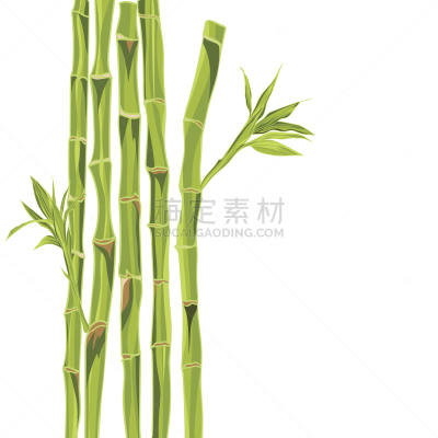 笋,绿色,留白,动物手,危险路段标志,熊猫,请柬,贺卡,热带气候,边框