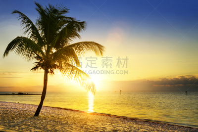 海滩,墨西哥湾暖流,机遇号火星探测器,基韦斯特,墨西哥湾,天空,水平画幅,沙子,无人,椰子树