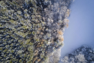 雪,无人机,森林,下奥地利州,航拍视角,风景,天空,遥控汽车,休闲活动,水平画幅