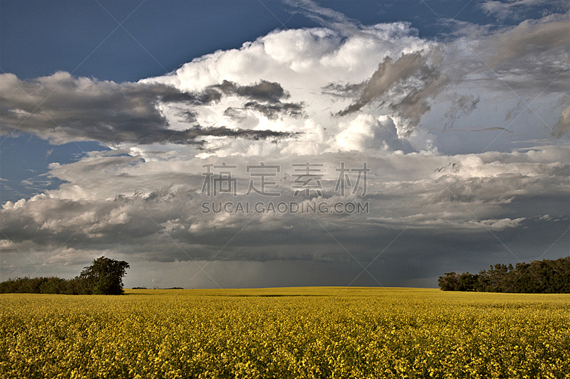 草原,乌云,自然,天气,水平画幅,无人,风景,环境,夏天,户外