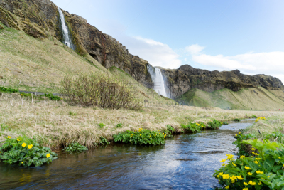 瀑布,枝繁叶茂,在之后,表现积极,桨叉架船,seljalandsfoss waterfall,北极,冰岛国,水,天空