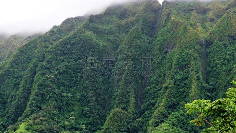 View of the entrance and Ko'olau Mountains as one drives through the Ho'omaluhia Botanical Park. Strolling or driving through these lush 400 acres in windward Oʻahu, you will truly agree that Hoʻomaluhia is rightfully named 'a peaceful refuge.'  Opened in