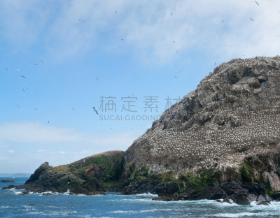 鸟类,岛,数字7,水,群岛,水平画幅,佩洛斯基雷克,马兰布莱顿,岩层,野外动物