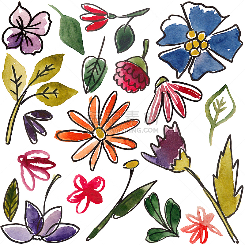 水彩画,植物群,花蕾,植物,彩色图片,无人,绘画插图,花序,水彩颜料,方形画幅