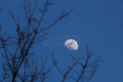 月亮,冬天,自然,美国,水平画幅,雪,无人,蓝色,查普希尔,自然美