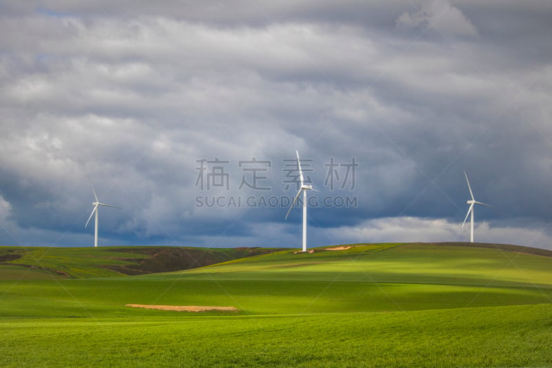 西开普省,雷雨,卡列登,南非,田地,风轮机,绿色,戏剧性的天空,在上面,农业