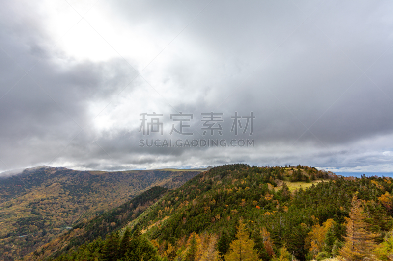 秋天,风景,日本,多功能车,公园,复古风格,植物,河流,户外,木制