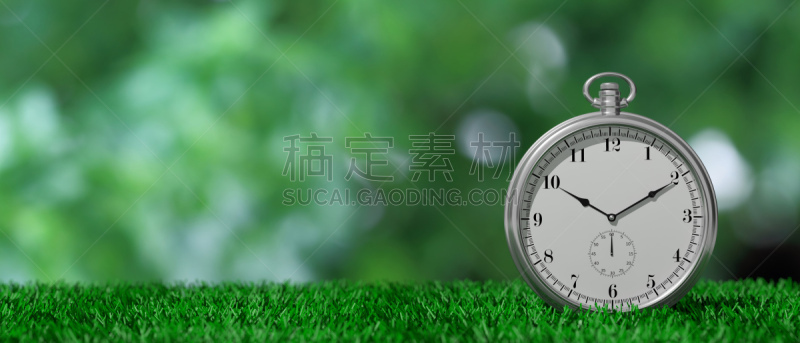 怀表,草,绘画插图,绿色,留白,抽象,背景聚焦,分离着色,三维图形,商务