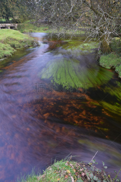 bodmin moor,河流,特拉华,康沃尔,垂直画幅,无人,英国,运动模糊,户外,桥