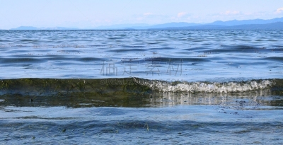 透明,加拿大,海藻灰,海滩,乔治海峡,波浪,帕克斯维尔,看,地形,户外
