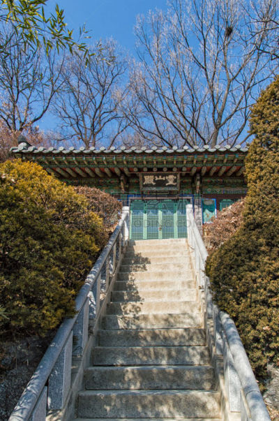 寺庙,江南区,犹太教会堂,首尔,垂直画幅,夜晚,无人,户外,都市风景,韩国