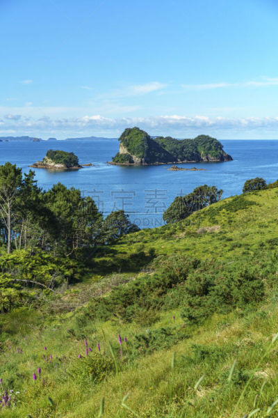 cathedral cove,科罗曼德尔半岛,新西兰,两只动物,前进的道路,垂直画幅,水,美,山,夏天