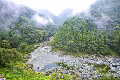 日本,德岛县,四国,祖谷,河流,户外,旅行者,山谷,亚洲,自然