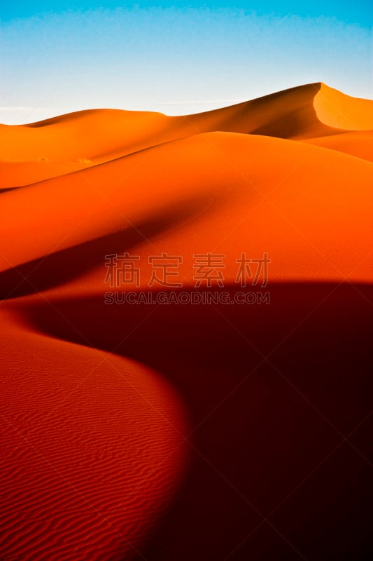 撒哈拉沙漠,无人,沙丘,巴巴里人,西撒哈拉沙漠,erg chebbi dunes,垂直画幅,天空,留白,褐色