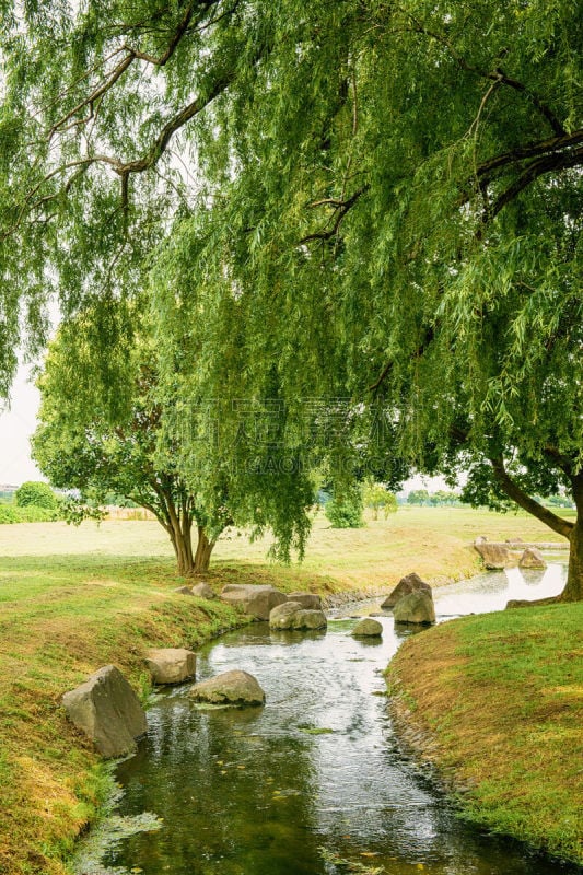 公园,河流,垂直画幅,美,休闲活动,枝繁叶茂,能源,纯净,草坪,户外