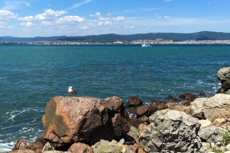 度假胜地,海滩,保加利亚,全景,海岸线,圣马洛,晴朗,水,水平画幅,无人