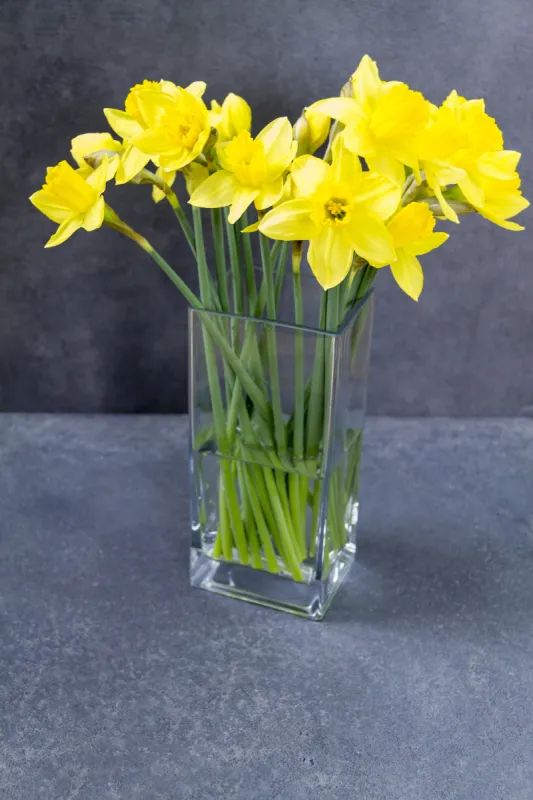 花束 水仙花 垂直画幅 无人 背景分离 多花水仙 仅一朵花 黄色 花瓶 叶子图片素材下载 稿定素材