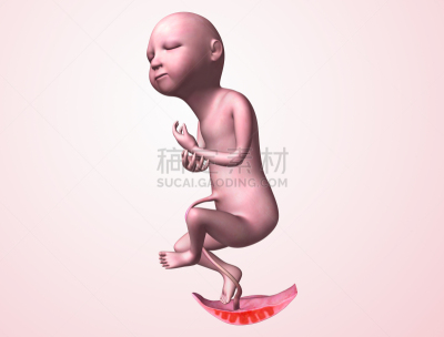 婴儿,女人,水平画幅,胚胎,绘画插图,人,健康保健,生殖器官