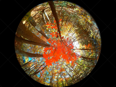 秋天,叶子,与众不同,小星球的格式,360度景观,红色,水平画幅,无人,2015年,鱼眼镜头