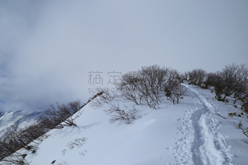 雪,十二月,山,小路,自然,山口,非都市风光,水平画幅,无人,日本