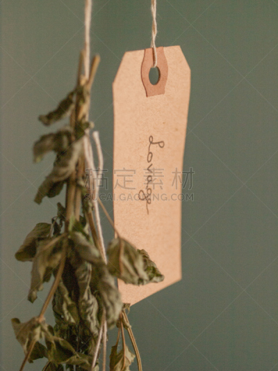 拉维纪草植物,自然,垂直画幅,褐色,绿色,无人,上下颠倒,标签,香料,草药