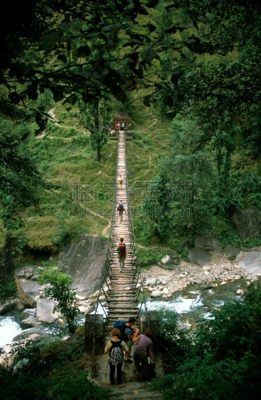 横越,人,吊桥,热带雨林,航拍视角,高视角,河流,徒步旅行,尼泊尔,步行