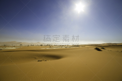 红色,沙丘,纳米比亚,苏丝斯黎,风景,纳米布沙漠,自然,野生动物,水平画幅,沙子