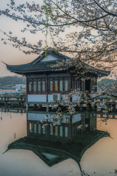 西湖,杭州,亭台楼阁,桃花,拱桥,浙江省,垂直画幅,水,天空,无人