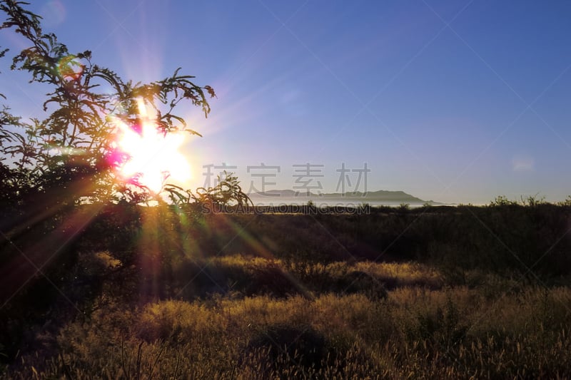 干的,雾,天空,早晨,旅行者,石材,比斯毕市,齿状山脊,气候与心情,山脊