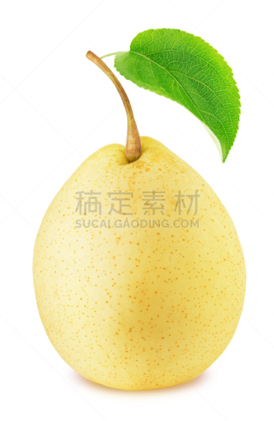 绿色,熟的,叶子,分离着色,亚洲梨,中国食品,垂直画幅,芳香的,枝繁叶茂,素食