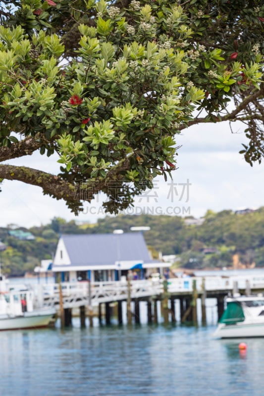 新西兰,bay of islands,派希亚镇,russell,自然,垂直画幅,山,无人,蓝色,户外