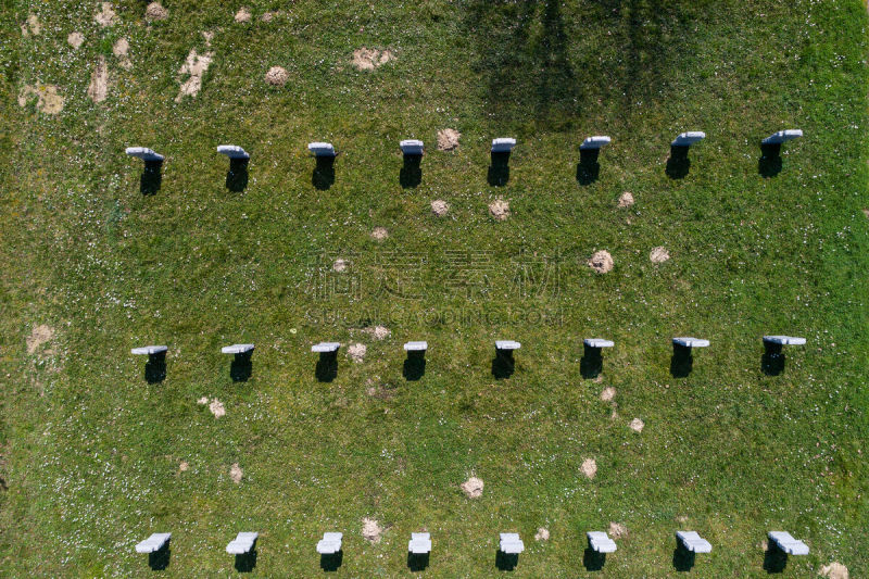 白色,墓地,横越,1944,葬礼,纪念碑,水平画幅,石材,草,无人机