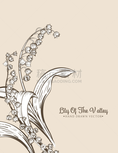 Botanical Lily Of The Valley Invitation Template
