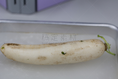 实验室,植物学,根部,胡萝卜,水平画幅,固定的,无人,科学实验,科学,生物学