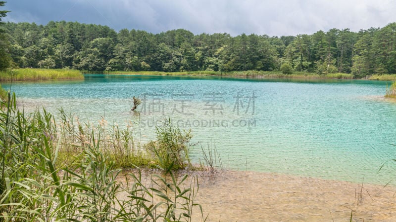 格希奇努麦,枝繁叶茂,池塘,清新,万代山,北盐原,福岛里,地球女神,福岛县,木板路