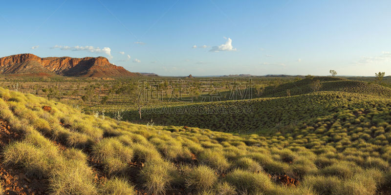 地形,澳大利亚,极端地形,色彩饱和,全景,Purnululu National Park,非都市风光,户外,三齿稃,黄色