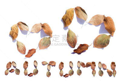 叶子,秋天,代表,设计元素,动物心脏,白色背景,文字,美,褐色,边框
