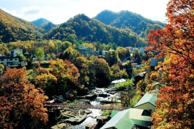 秋天,温泉,札幌,北海道,风景,黄色,红色,图像,叶子,足浴