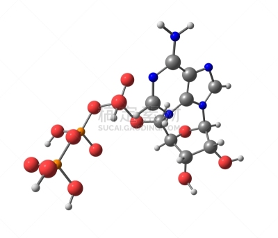 三磷酸腺苷,分子,白色,分离着色,辅酶Q10,新陈代谢,核糖核酸,可乐,酸,水平画幅