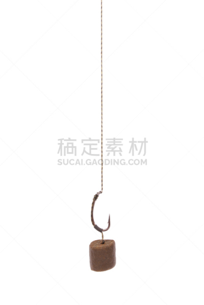 鱼饵,鲤鱼,垂直画幅,褐色,纹理效果,无人,生食,膳食,组物体,生物学