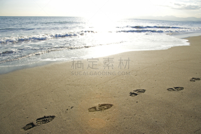 海岸线,相模湾,脚印,自然,水平画幅,地形,沙子,秋天,无人,日本