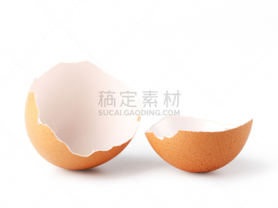 贝壳,自然,早餐,水平画幅,鸡蛋,无人,鸟类,图像,特写,脆弱