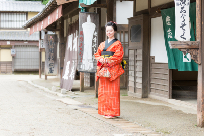 江户时代,和服,日本人,城镇,女人,自然美,舞妓,艺妓,便装和服,演出服