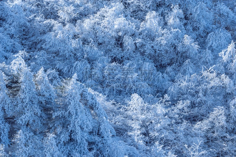 黄山山脉,冬天,地形,安徽省,霜,水平画幅,圣诞节,雪,无人,树林