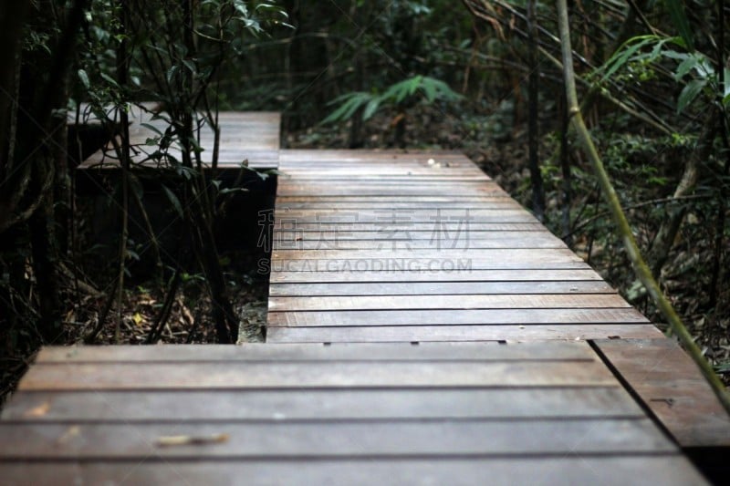 步行道路,派克大街,voyageurs national park,尔斯滕博什植物园,明尼苏达,自然,天空,水平画幅,地形,无人